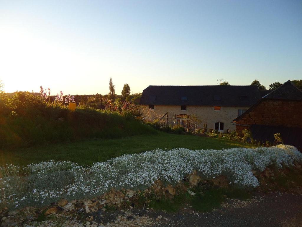 La Maison De Léopold *